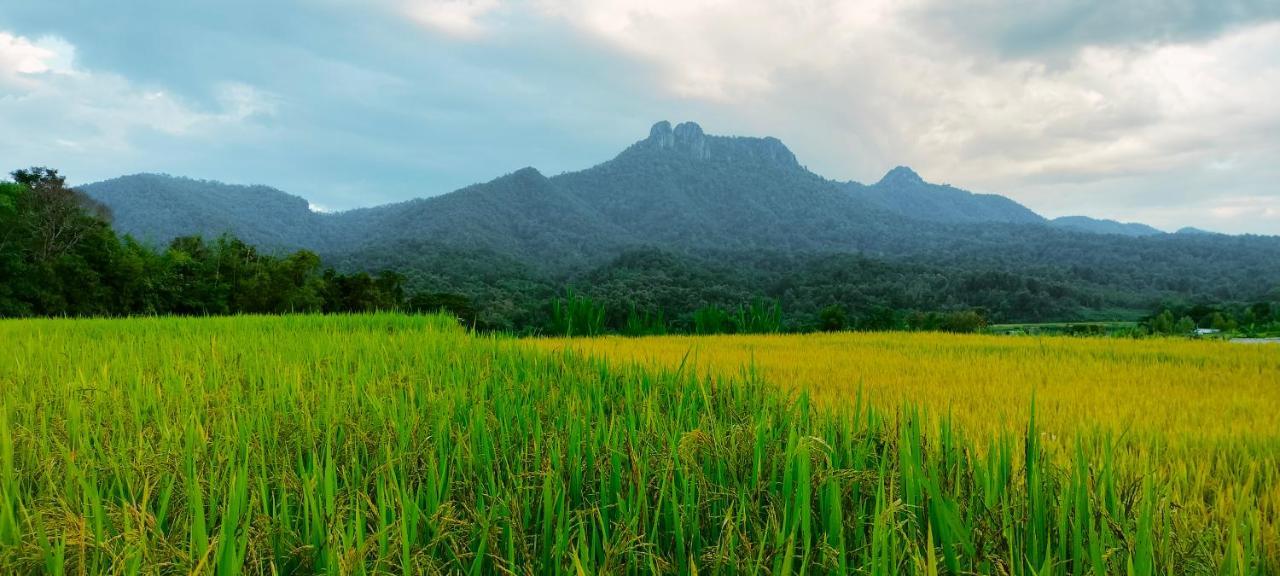 Pimpisa Garden พิมพิศา การ์เด้นท์ Khuang Kom Exterior foto